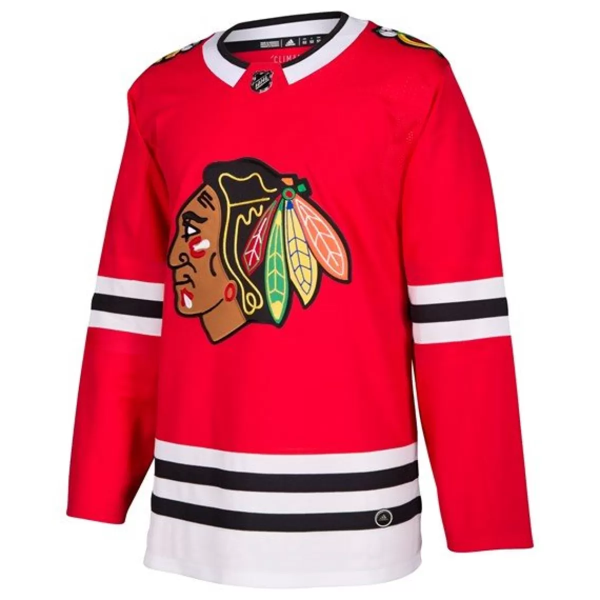 Adidas Authentic Pro Chicago>2U SPORTS Store