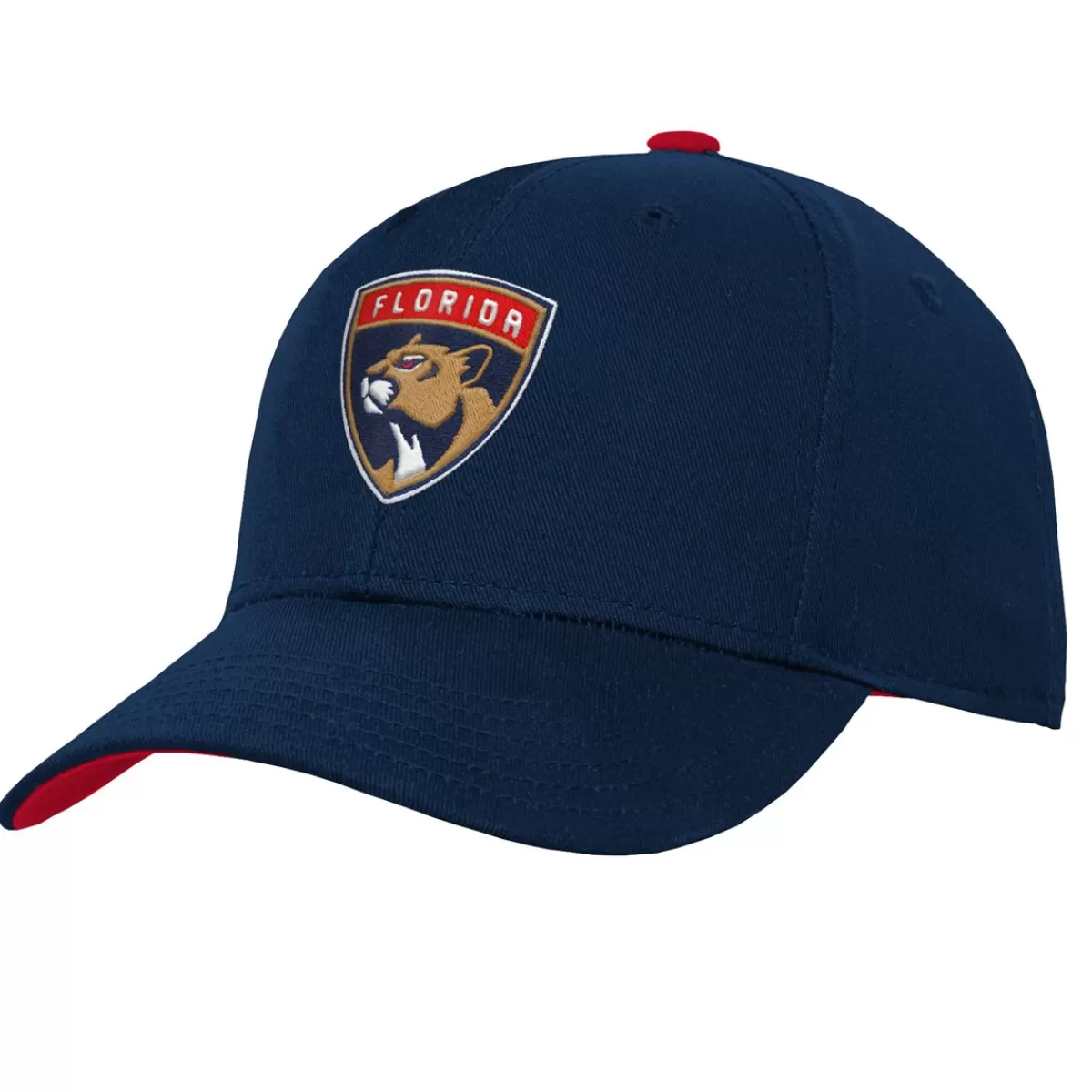 Keps Jr Snapback - Panthers>OUTERSTUFF Cheap